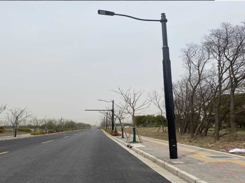 漳州市上海综合杆 太阳能路灯工程